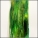 Closeout 32" Tinsel - Spruce Green Pearl LL3 302C
